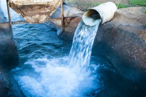 AG Net West: Voluntary Agreements Remain Viable for California Water